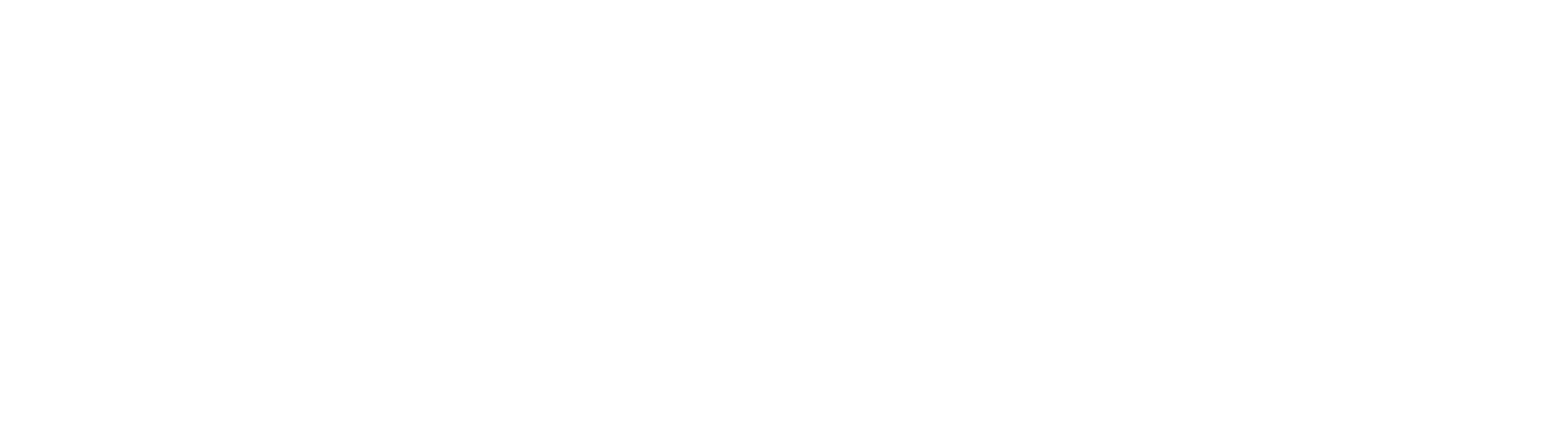 Pan American Life Insurance Group Logo-White